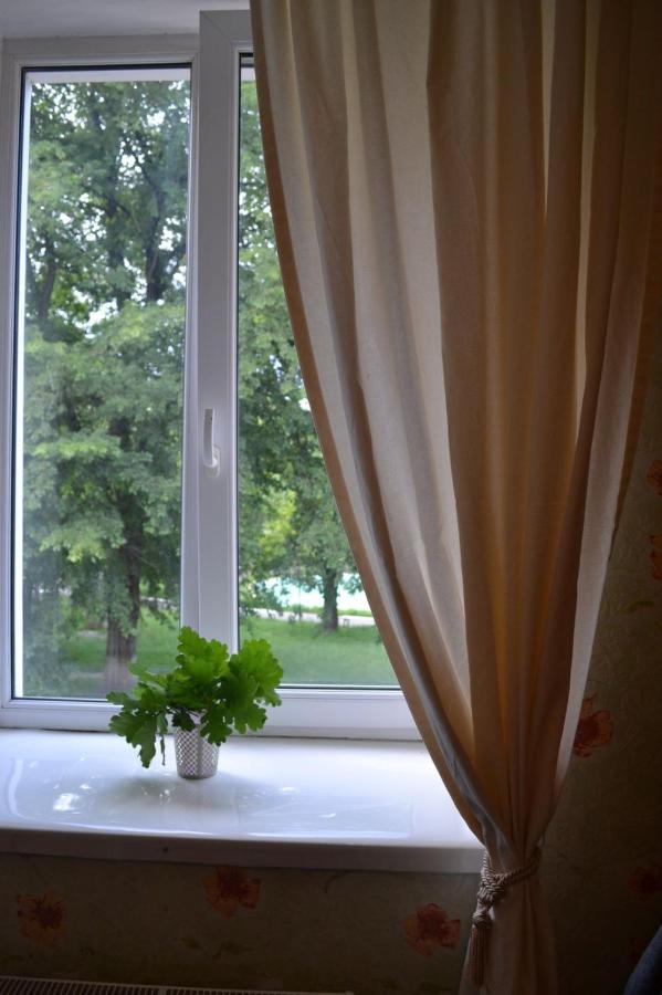 Квартира Двохкімнатна Фонтан Apartment Kamianets-Podilskyi Ngoại thất bức ảnh