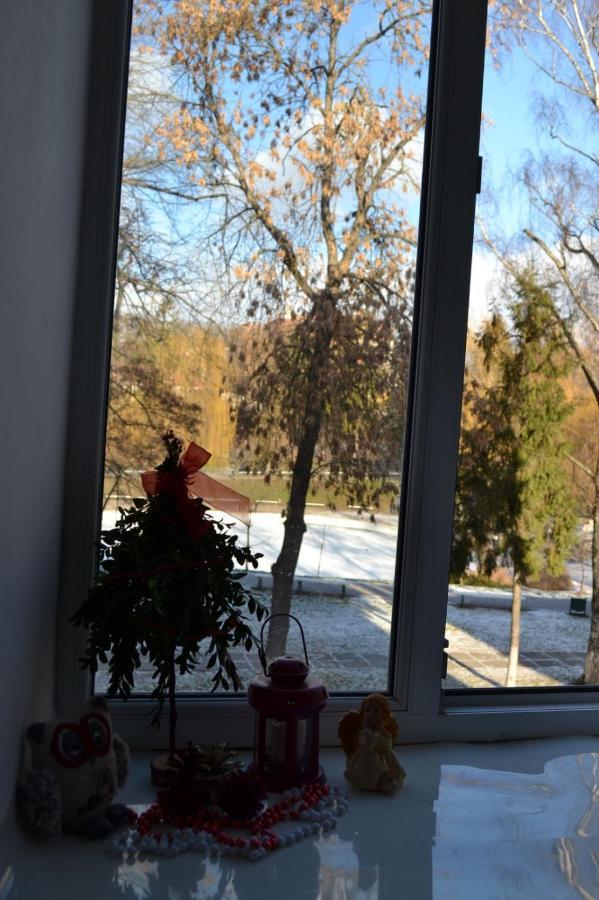 Квартира Двохкімнатна Фонтан Apartment Kamianets-Podilskyi Ngoại thất bức ảnh