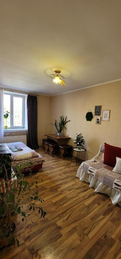 Квартира Двохкімнатна Фонтан Apartment Kamianets-Podilskyi Ngoại thất bức ảnh